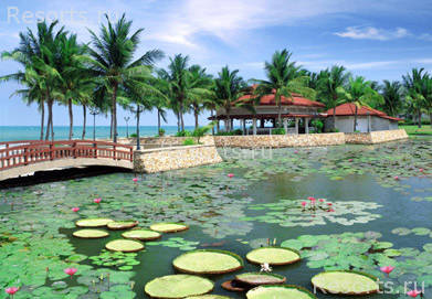 Dusit Resort Hua Hin 3